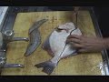Filleting A Flatfish