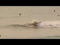 Custom Epoxy Performance Longboard Surfing