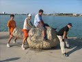 Parkour & Tricking Constanta (old boys) Parkour & Tricking Constanta (old boys)