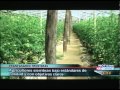 PRODUCTORES/AS ASISTIDOS POR CENTA VENDEN A CADENA INTERNACIONAL DE SUPERMERCADOS