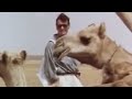 Crossing the Sahara desert by camel - Michael Palin - BBC