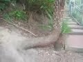 Katoomba - Blue Mountains, New South Wales