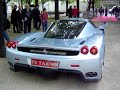 enzo bleue 2