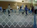 Paula showing Tasha in AKC Obedience