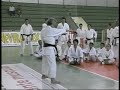 Soke Yoshimi Inoue