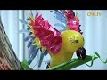 The 18th Annual U.S. Pastry Competition - CHIC.TV