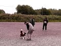 Class1 obedience competition. Judge Tiina Heino, points 166/200, first prize 3rd place
