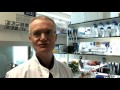 Rotifers are tiny animals that survive against all the odds. They are also known for not having had sex for 80 million years. We follow Dr Alan Tunnacliffe, award-winning Cambridge researcher at the Institute of Biotechnology, as he tests their super-powers by draining 90% of the water in their microscopic bodies, heats them to boiling point and freezes them in liquid nitrogen. Still they thrive! Well discover how these extraordinary animals are able to survive under conditions deadly to most life and what this teaches us about how life might travel through space and potentially how it could have arrived on Earth. More immediately, well see how Alans team are poised to revolutionise medicine by bringing the tough tricks of the Rotifers to human cells and medicines.