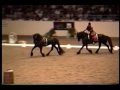 FRIESIAN LONG LINING... FRIESIAN LONG LINING...
