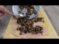 Videorecept: Kuřecí závitky s houbami ve smetanové omáčce