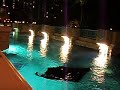 Atlantis Manta Ray