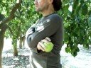 Ограничено число фото на О-ки - прямая дорога к альтернативному фотохостингу (новость и совет)