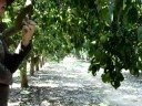 Ограничено число фото на О-ки - прямая дорога к альтернативному фотохостингу (новость и совет)