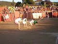 PEÑAOLIMPIADAS 2008 final sogatira PEÑAOLIMPIADAS 2008 final sogatira