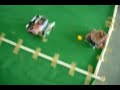 2nd match BIT Jaipur in ROBOSOCCER , apogee , bits pilani
