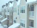 fine-arts-and-freezing-weather-92208.html