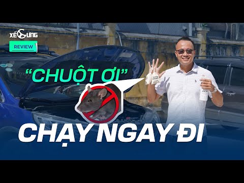 Tạm biệt nỗi lo về chuột trên xe ô tô