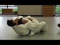 BJJ: Chokes and Armlocks BJJ: Chokes and Armlocks