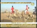 2 - 6 سباق الهجن بشرورة برعاية قبيلة نهد