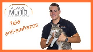 ¿Tienes Gatos? Tela ANTI ARAÑAZOS (Especial para Mascotas y Niños)