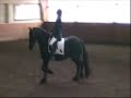 auke