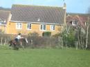lottie, elvis, dillon and grandee go gallopin
