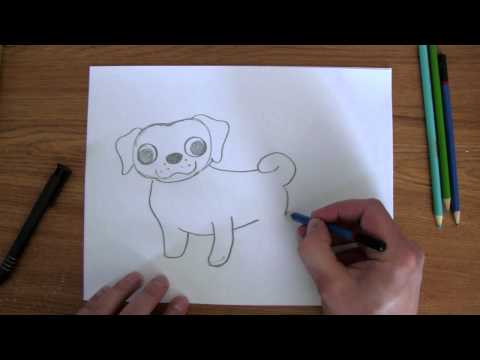how to draw pugs