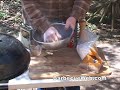 BBQ Pit Boys Barbecue Dry Rub For Ribs Recipe