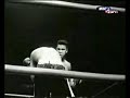 EL MAS GRANDE!