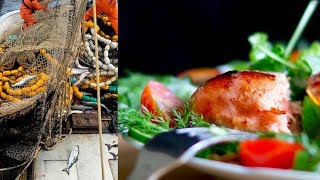 From Boat to Table From Boat to Table