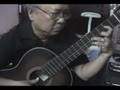 nhu canh vac bay-trinh cong son