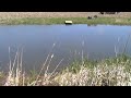Windmill Aerator