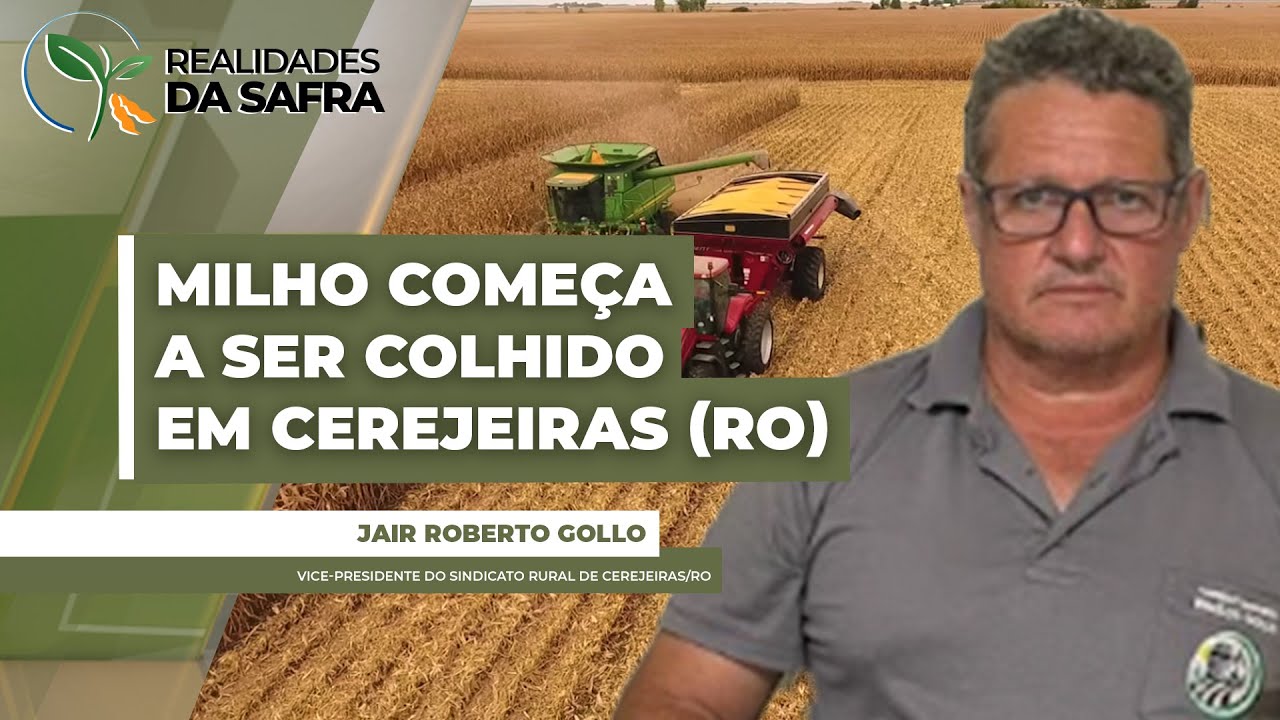 Chuvas atrapalham plantio de parte do milho em Cerejeiras (RO)