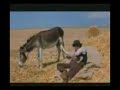 youtube,ch7al,sa3a