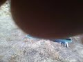 zack shooting