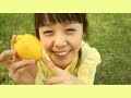 ??? - lemon tree