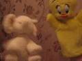 leyt night with tweety