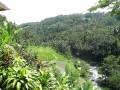Video tour of our villa at Kupu Kupu Barong Mango Tree Spa Hotel.