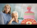 Кошки - вирус заботы