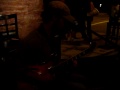 AARRON BARRIER @ OPEN MIC NITE THURSDAYS @ DBA256 IN POMONA CA