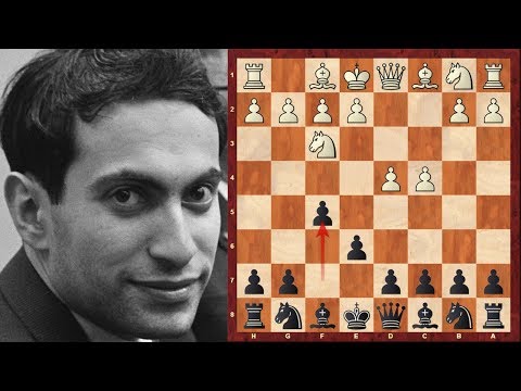 chess chess