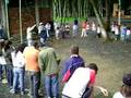 Assistir ao v�deo