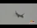 orange orb vs airliner
