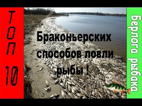 браконьерские методы ловли стерляди браконьерские методы ловли стерляди