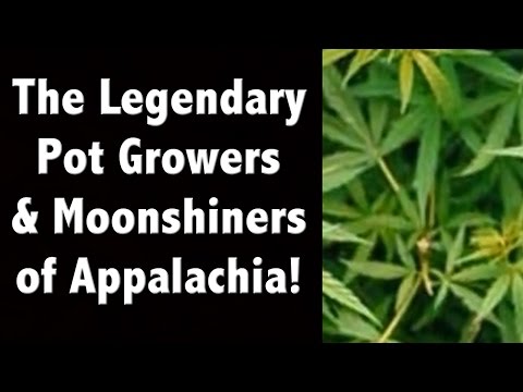 The Real history of Moonshine and Pot in Appalachia.