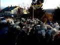 Kolo va Cerniku Kolo va Cerniku