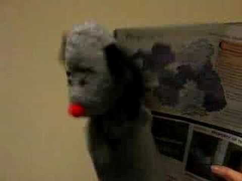 Sweep gives the weather forecast for ...