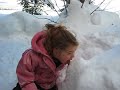 Abby eating snow Abby eating snow