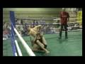 videos de Marcin Pionke vs Łukasz Nalazek HL