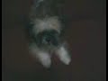 Speed no sof�